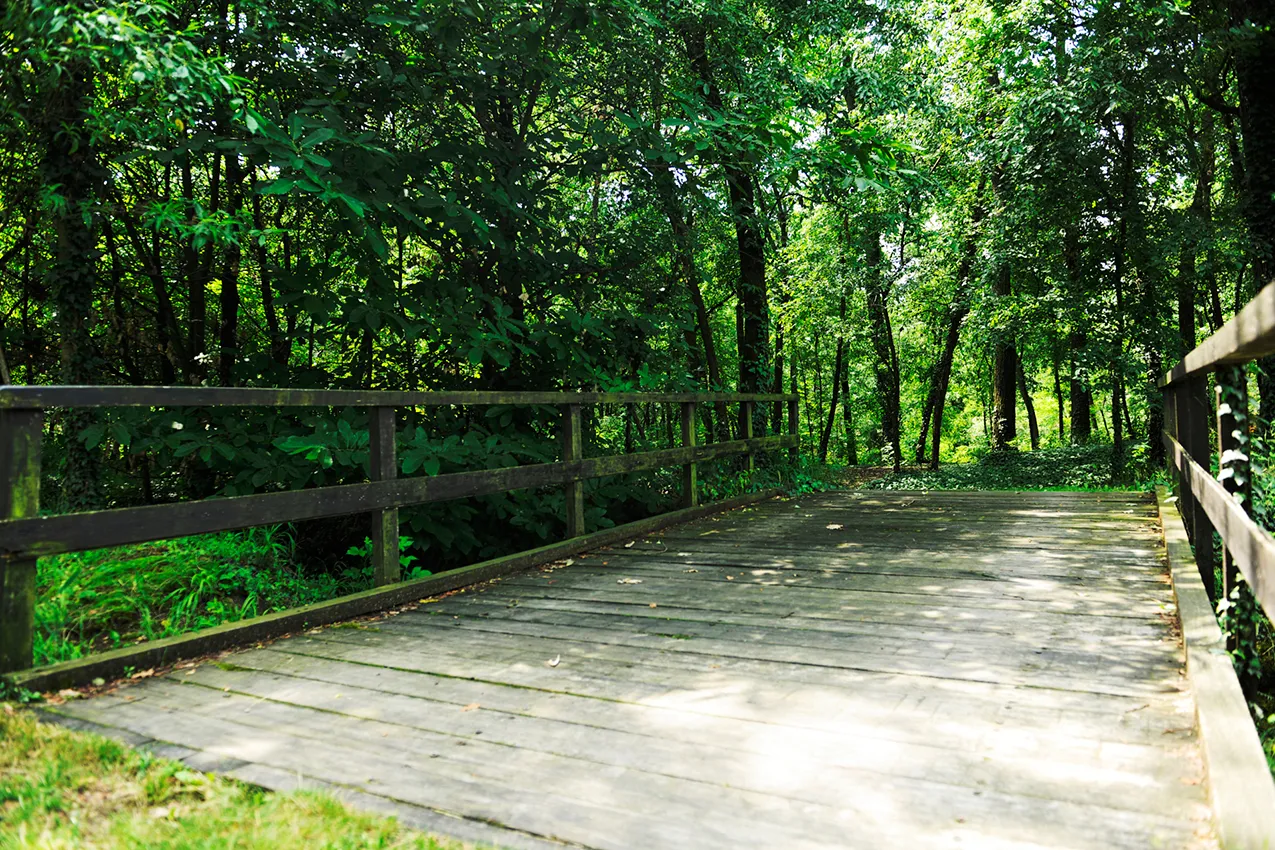 locale agriturismo ponte