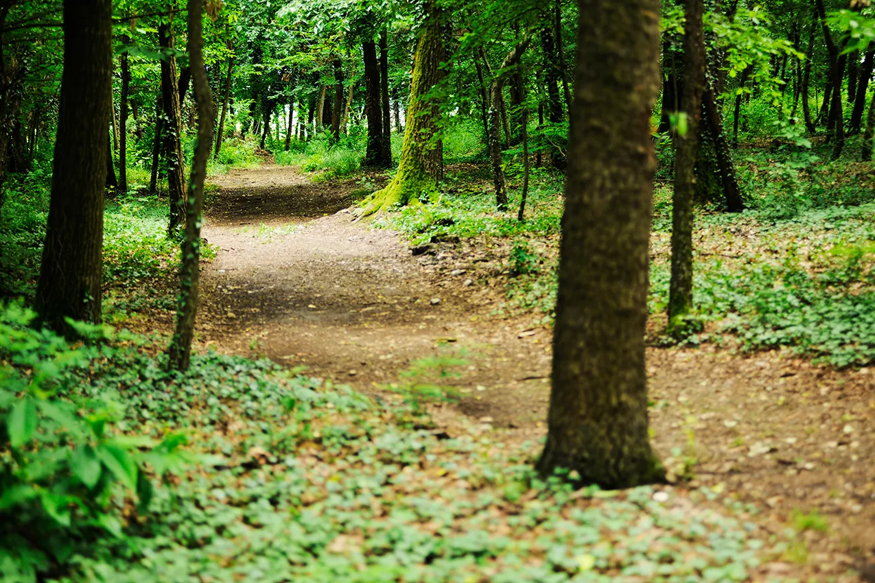 locale agriturismo sentiero