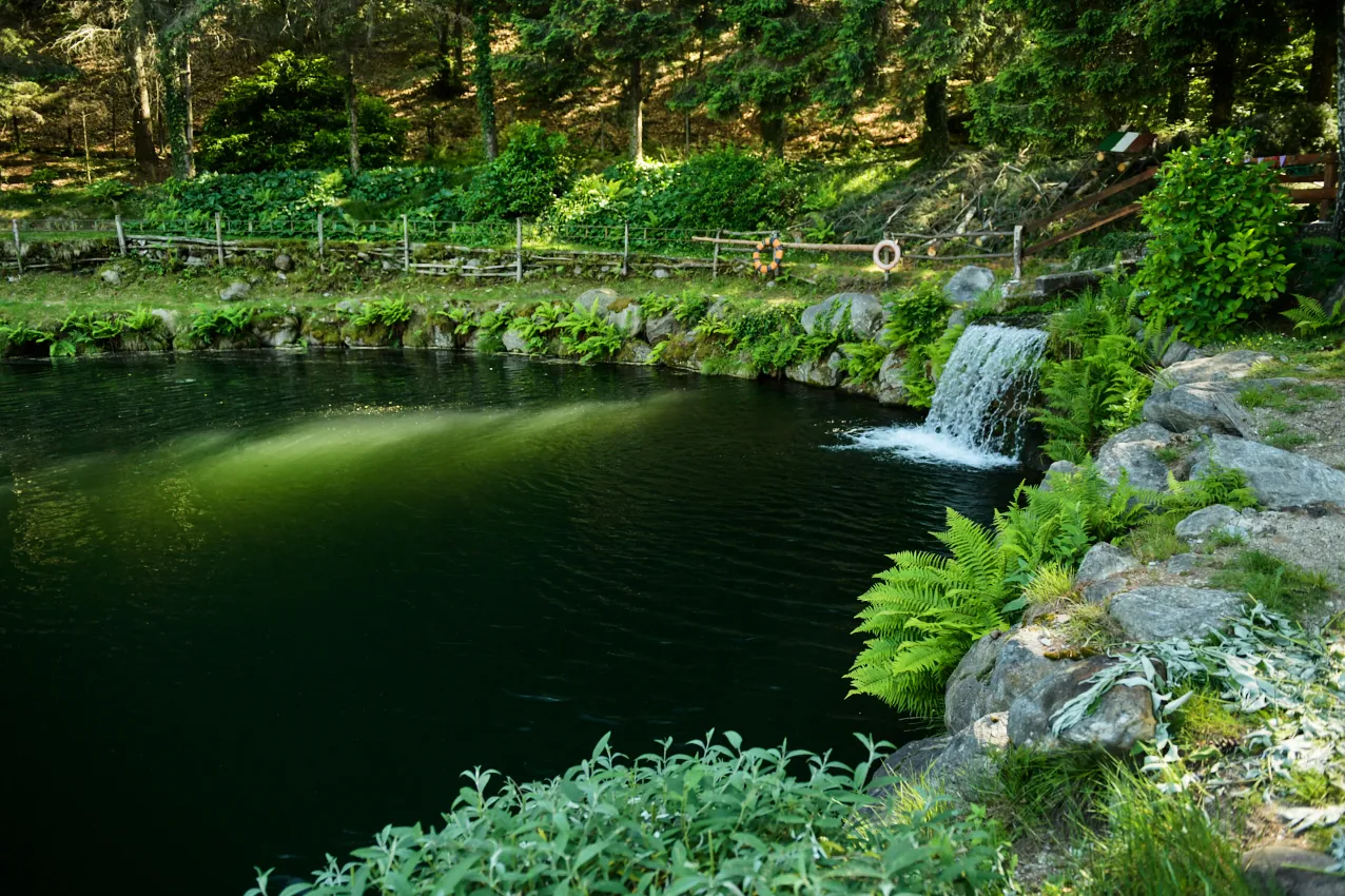 laghetto con cascata