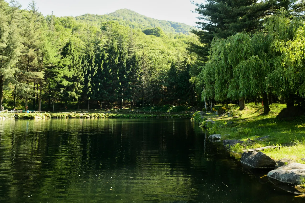 laghetto con cascata