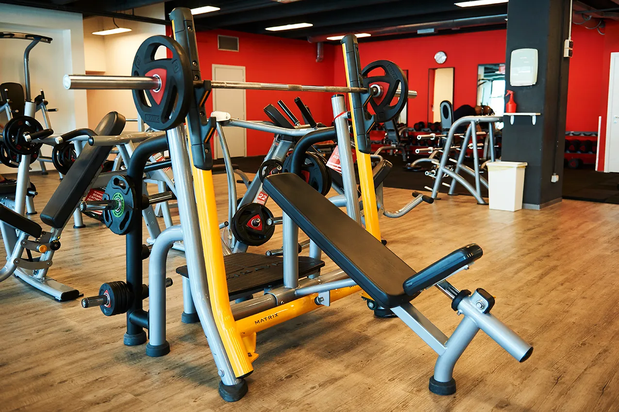 palestra area panche e bilanceri