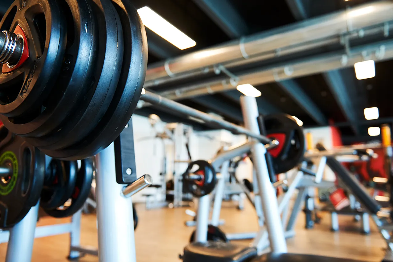 palestra area panche e bilanceri